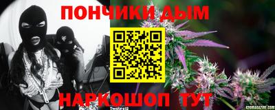 индика Краснознаменск