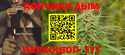 индика Краснознаменск