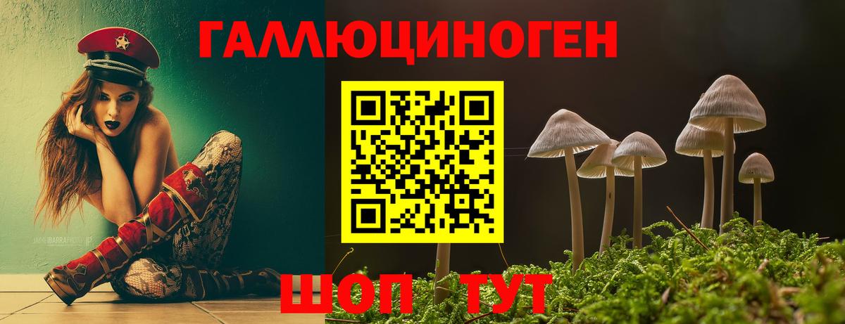 Галлюциногенные грибы Cubensis  Псилоцибиновые грибы GOLDEN TEACHER  Вход с VPN  купить закладку  Старая Купавна 